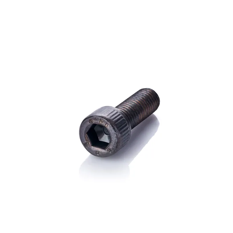 TORNILLO BRISTOL 20MM PASO 2.50 G 12.9